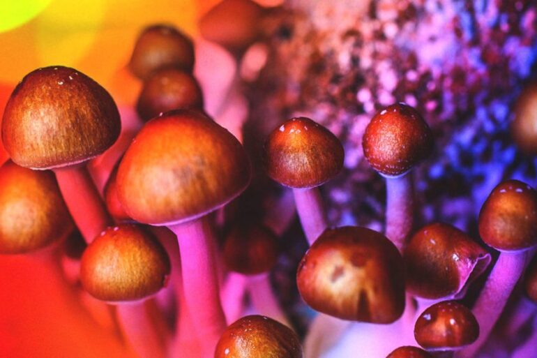 Psilocybin Magic Mushrooms / Source: Getty